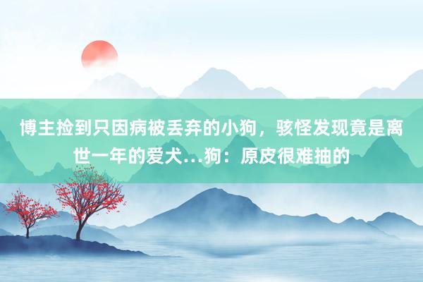 博主捡到只因病被丢弃的小狗，骇怪发现竟是离世一年的爱犬…狗：原皮很难抽的